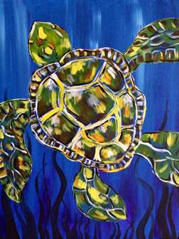 Aquatic Turtle