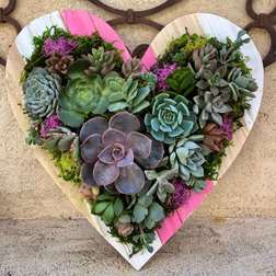 Sips and Succulents Valentine's heart workshop