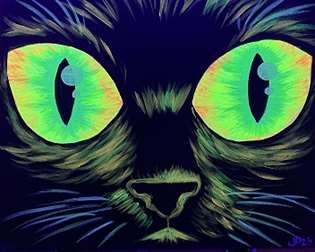 Blacklight Black Cat