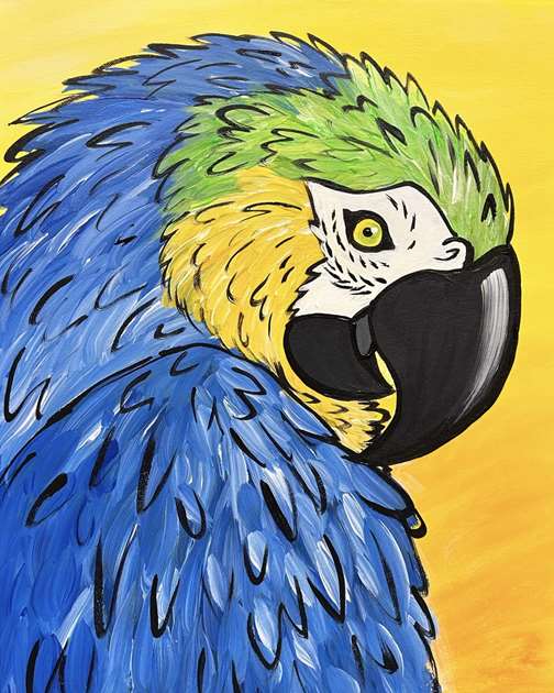 Blue and Bold Macaw