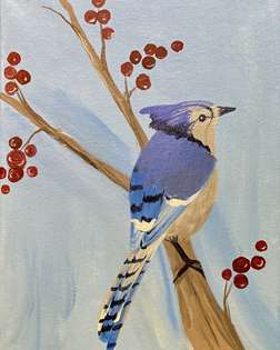 Blue Jay 