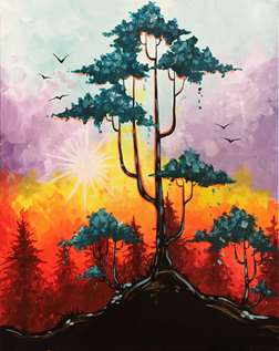 Bonsai Morning Fri Mar 15 7pm At Appleton