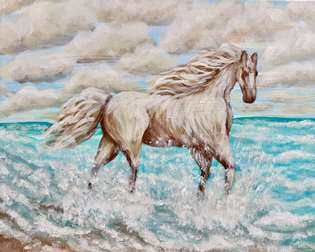 Carova's Cloud Dancer