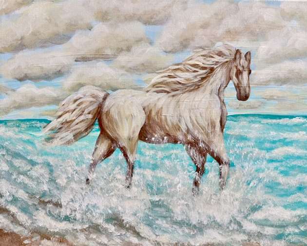 Carova's Cloud Dancer