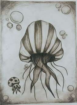 Charcoal Jellyfish