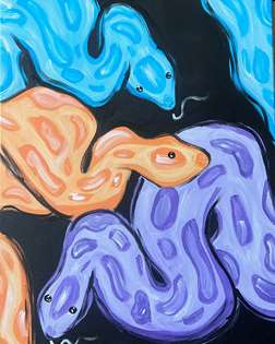 Colorful Snakes