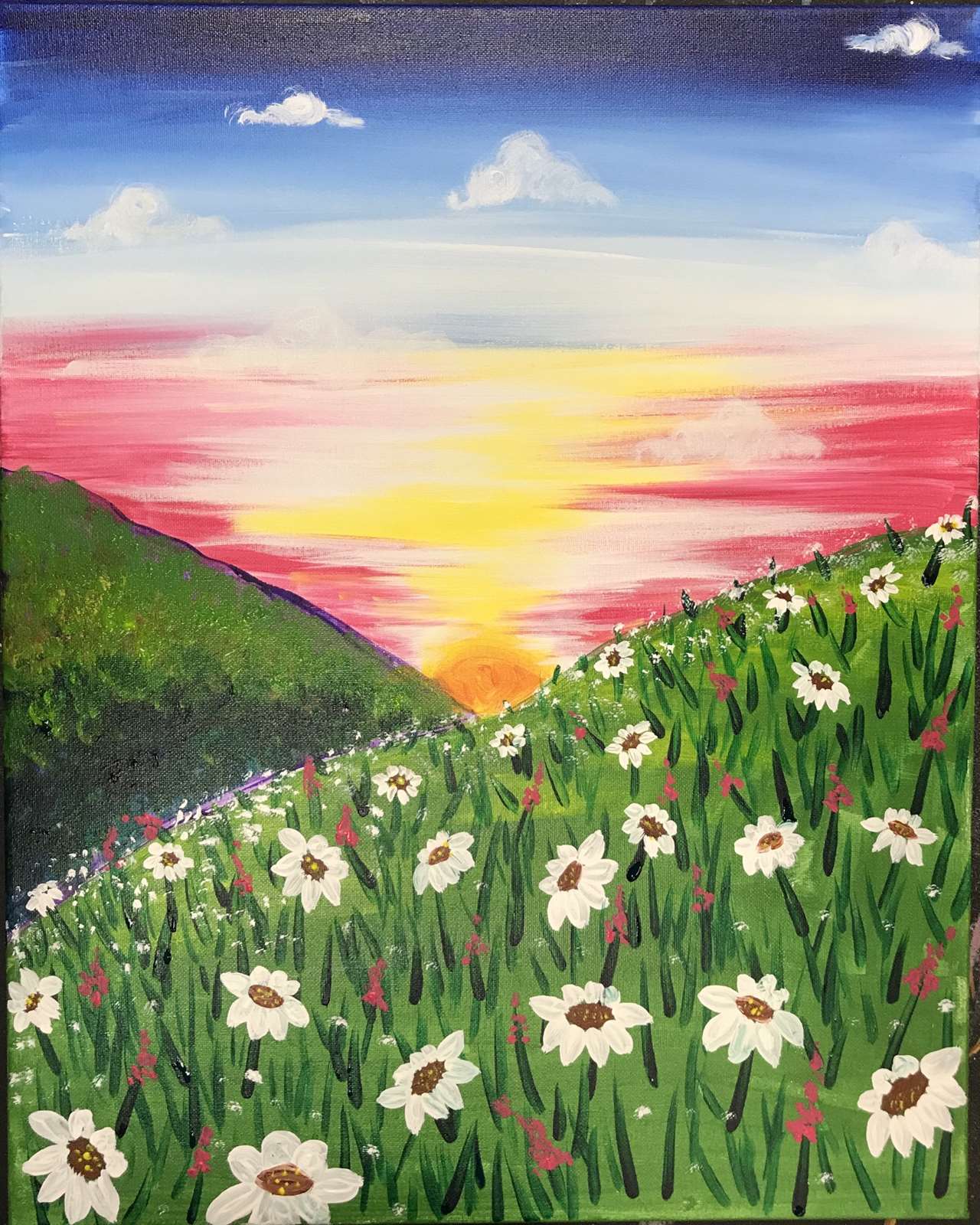 Daisy Field At Sunrise Thu Jul 02 7pm At Fort Collins