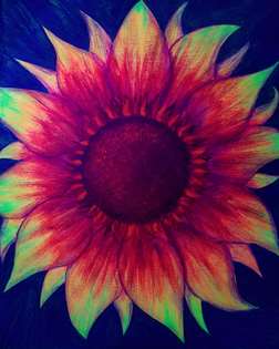 Firecracker Sunflower (under Blacklight)
