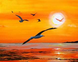Gull-den Sunset