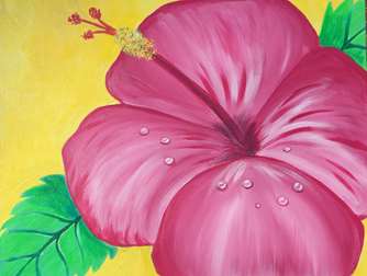 Hibiscus in Pink