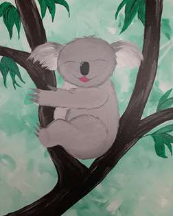 Koala-ty Time