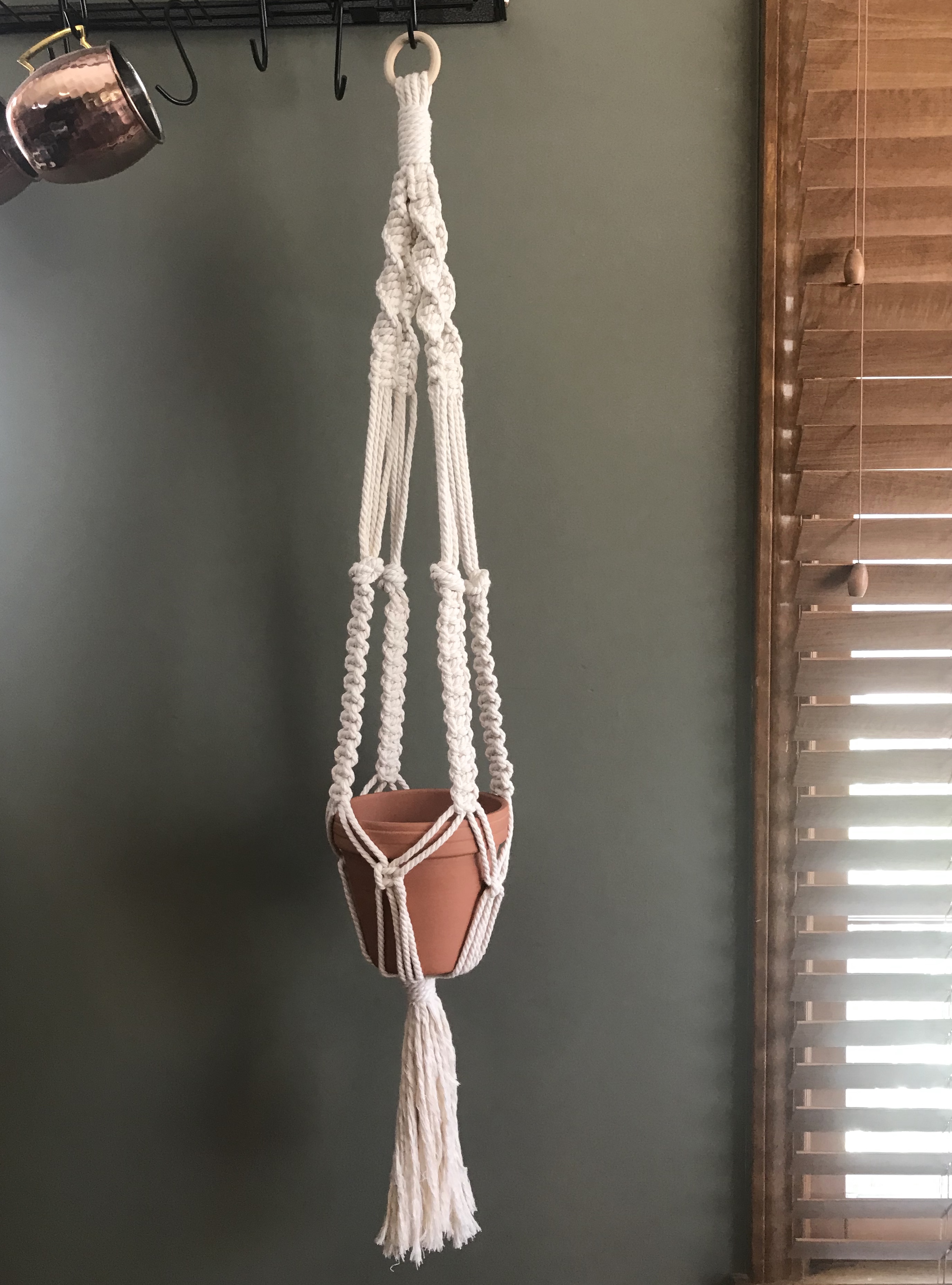 Macrame Plant Hanger Workshop - Pinot's Palette Painting