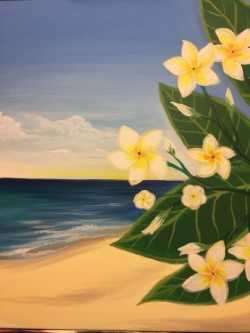 Morning Plumerias