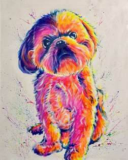 Pop Art Pet