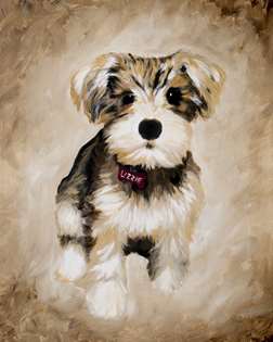 Expressions Home Gallery Pet Portraits - sponsored by Brizo Faucet!
