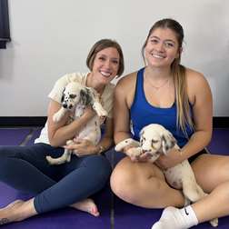 Puppy Yoga