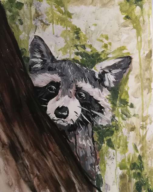 Raccoon Woods