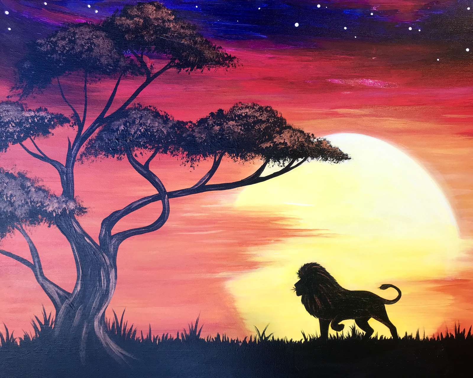 Safari King Sat Jul 20 3pm At Princeton