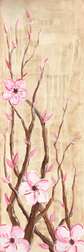Sepia Cherry Blossoms