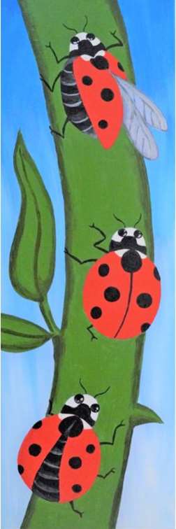 Seven Spotted LadyBugs