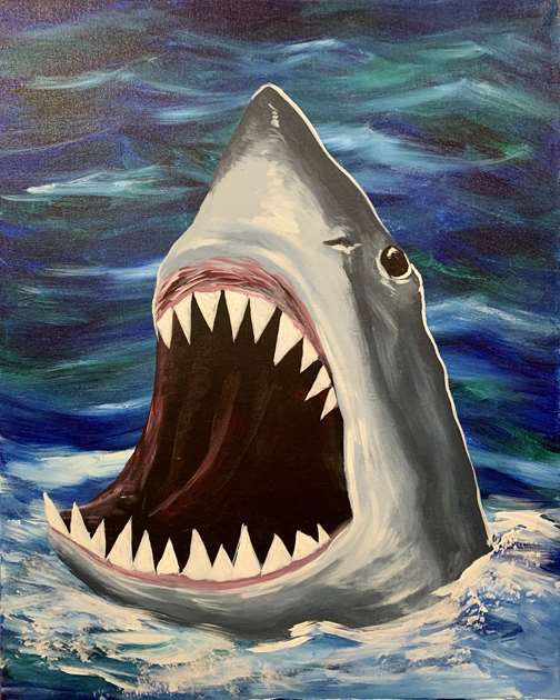  Celebrate Shark Week at the Oklahoma Aquarium!