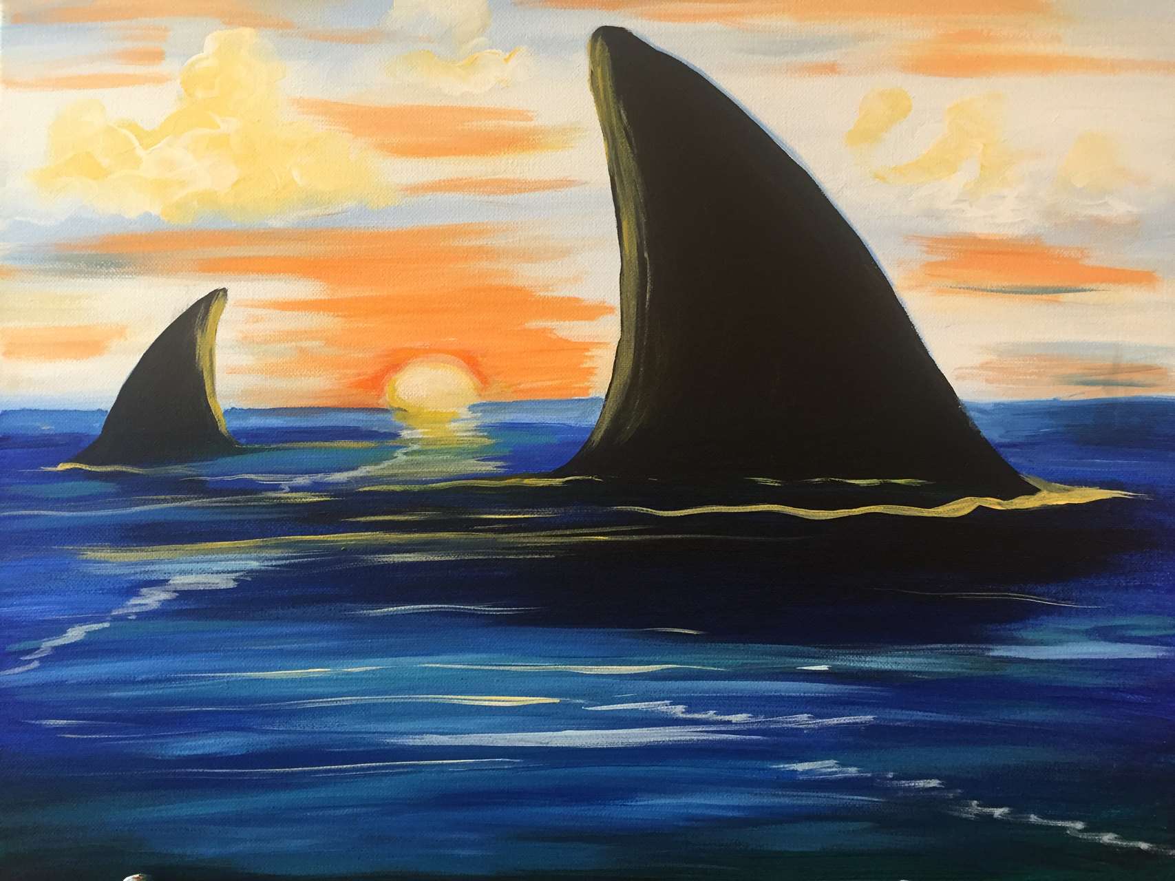 Shark Tue Jul 28 12pm At Chesterfield