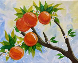 Sicilian oranges