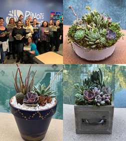 Sips and Succulents Workshop