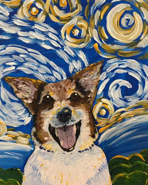 Starry Night Project Pet