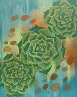 Succulent Serenity