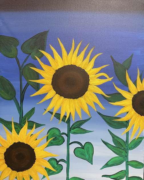 Sunflower Stalks