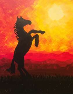 Sunset Stallion
