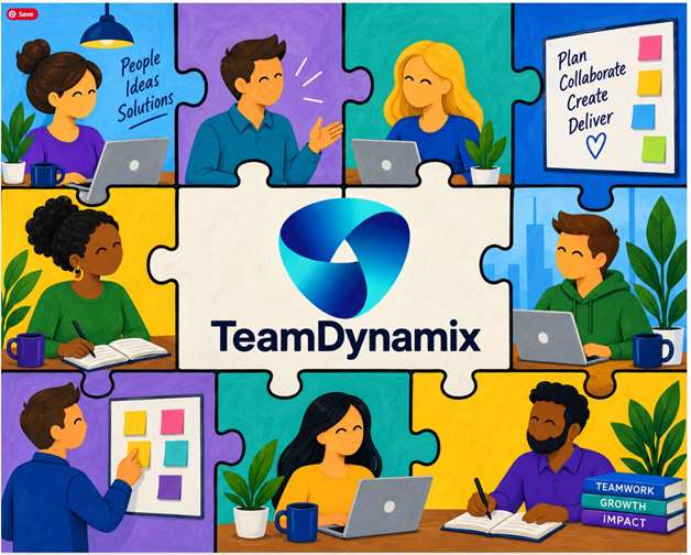 Team Dynamix Custom 