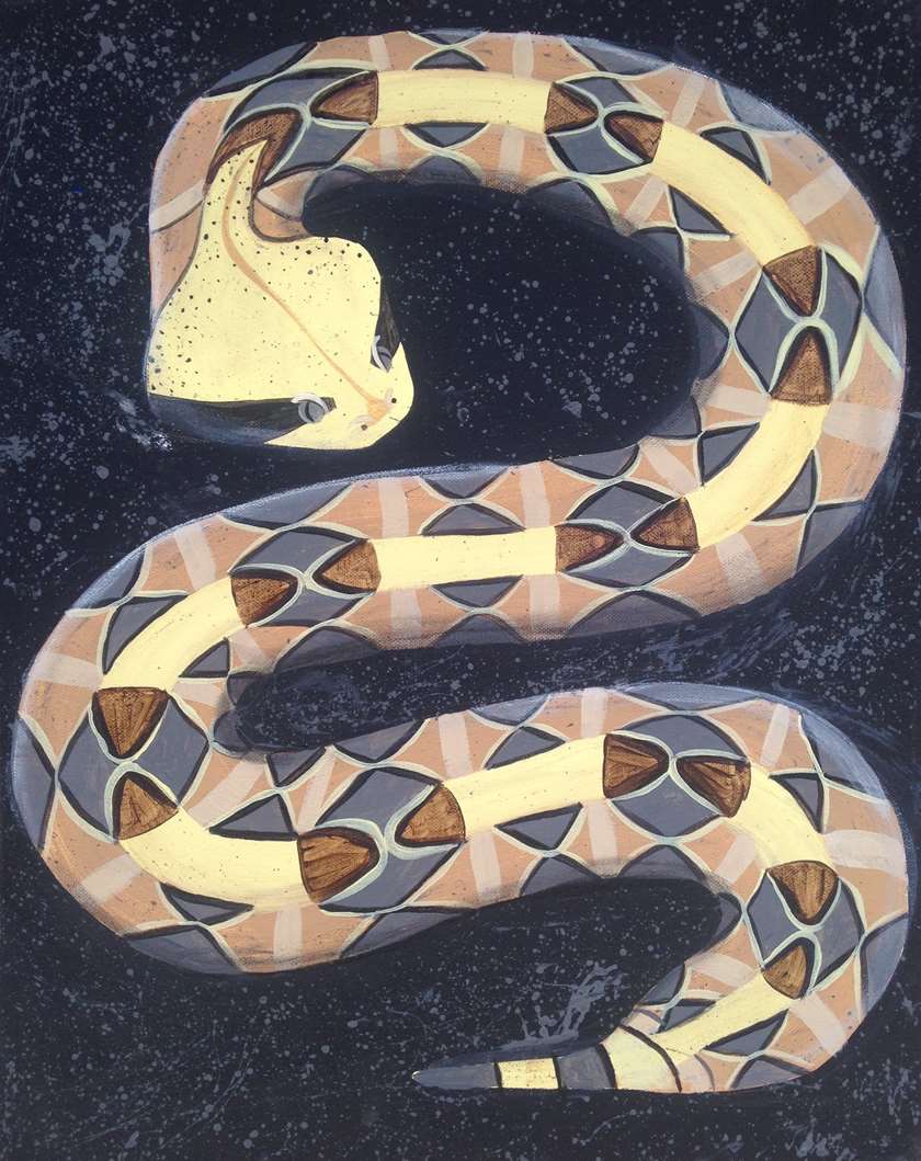 The Gaboon Viper Pinot's Palette Painting