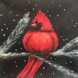 Winter Cardinal Take Home Paint Kit