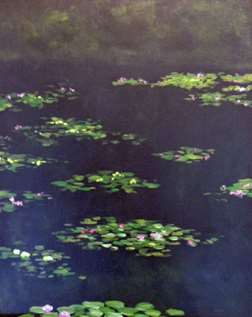 Water Lilies at Night