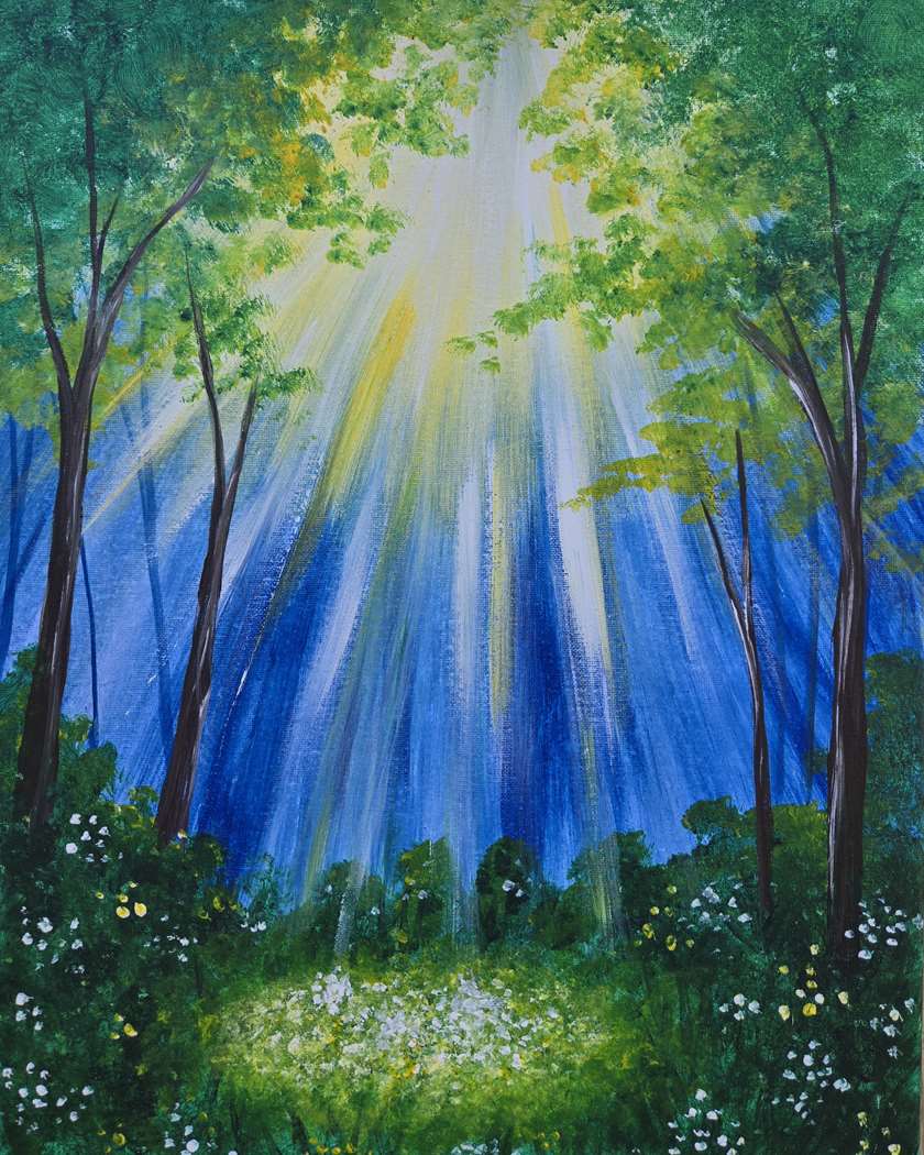 Where the Light Falls