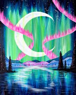 Winter Night Under the Northern Lights