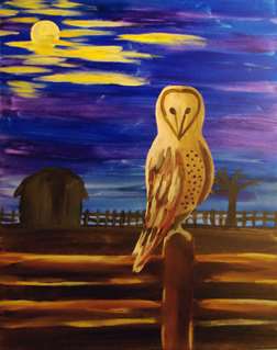 Wise Old Barn Owl